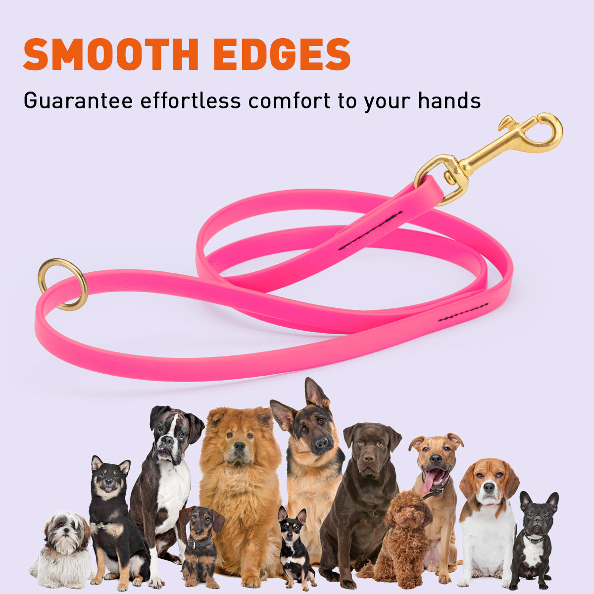 Biothane Working Dog Lead 6ft