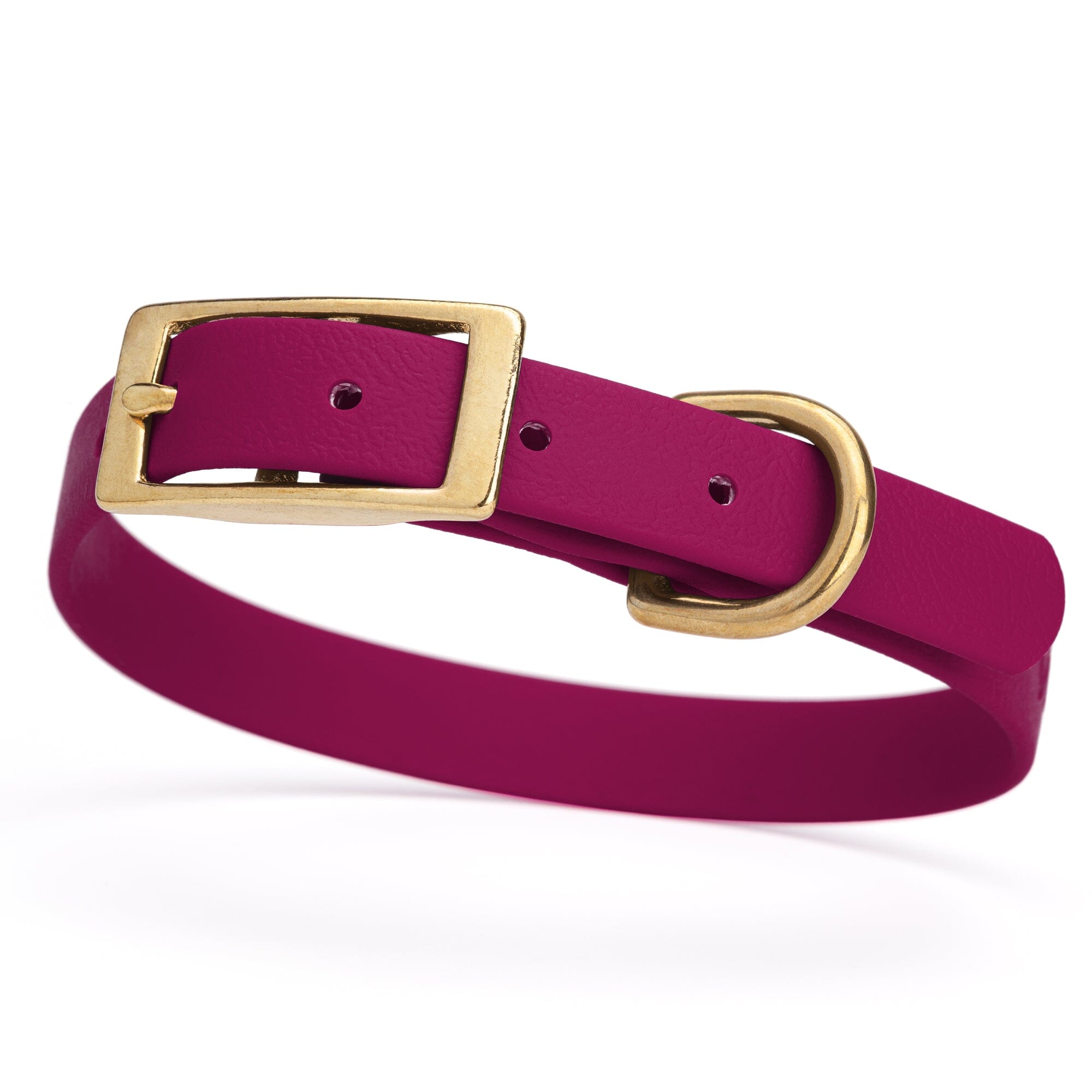 Viper Biothane Waterproof Dog Collar - Brass Hardware - Size S (12 to 15 inches)