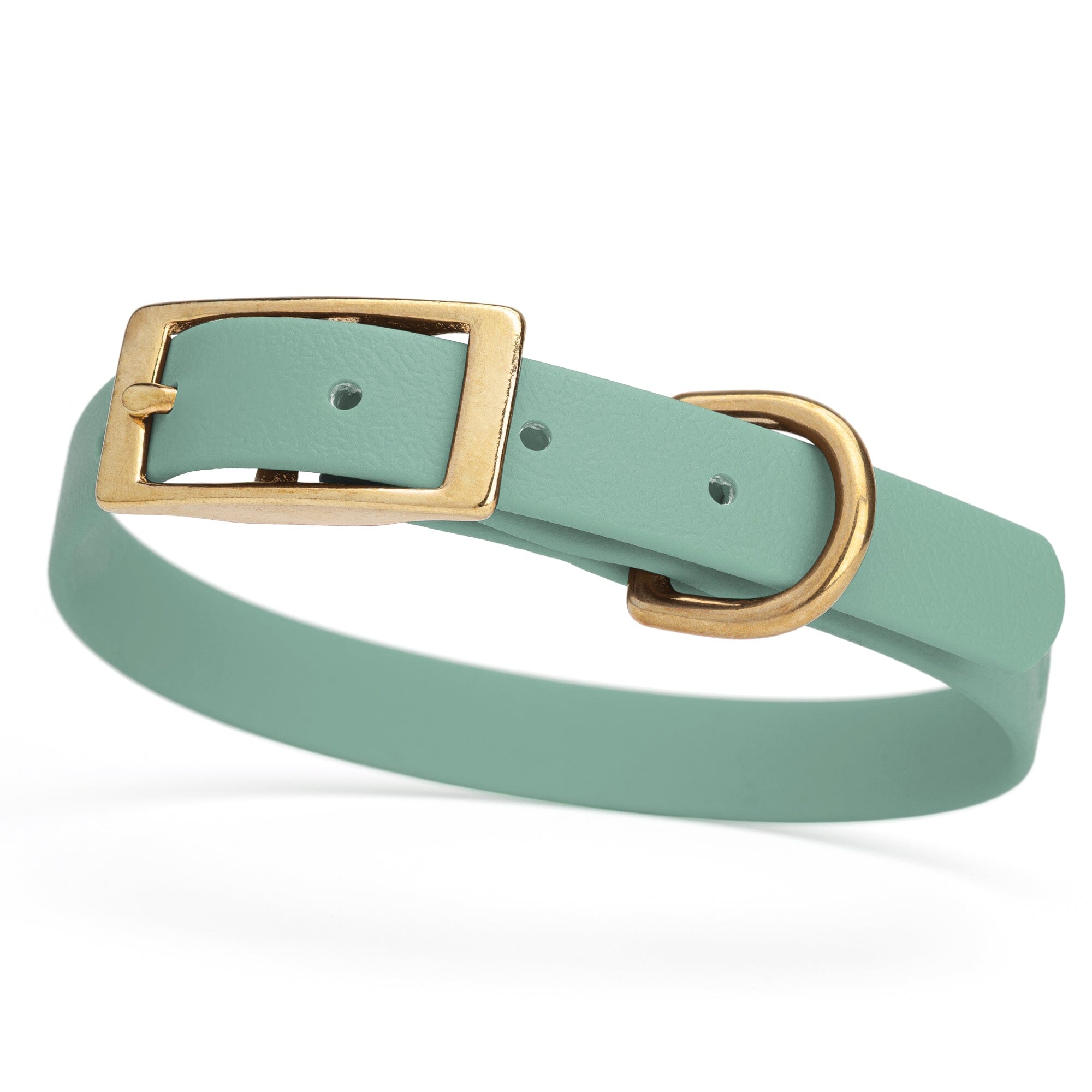 Viper Biothane Waterproof Dog Collar - Brass Hardware - Size S (12 to 15 inches)