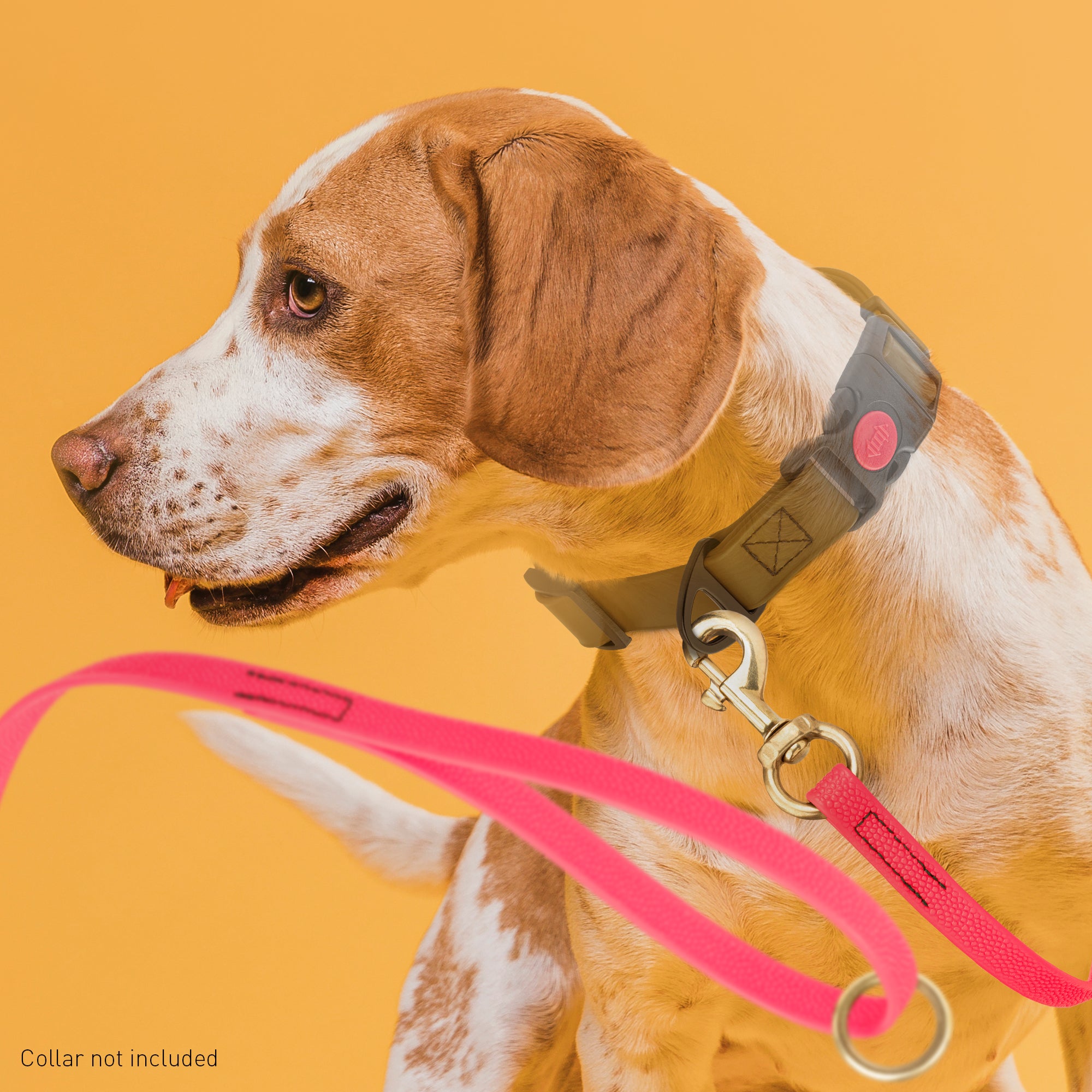 Viper Pebble Emboss BioThane Dog Leash with Solid Brass Hardware