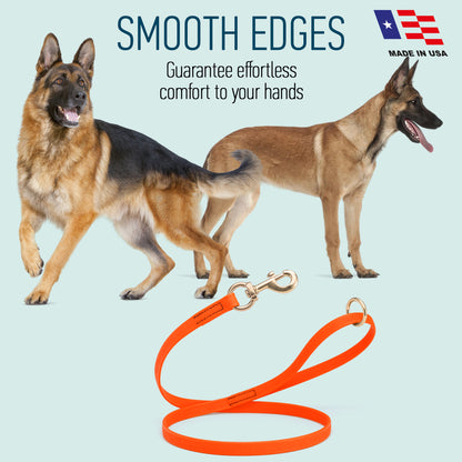 Viper Pebble Emboss BioThane Dog Leash with Solid Brass Hardware