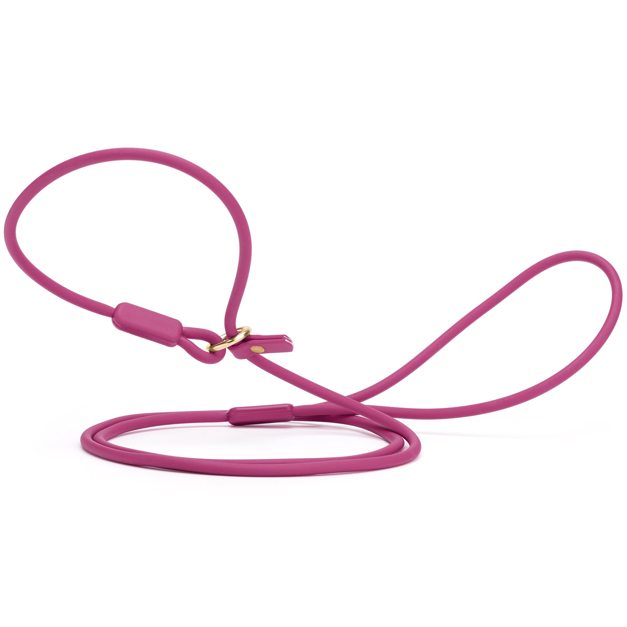 Viper Round Biothane Slip Lead with Brass Hardware