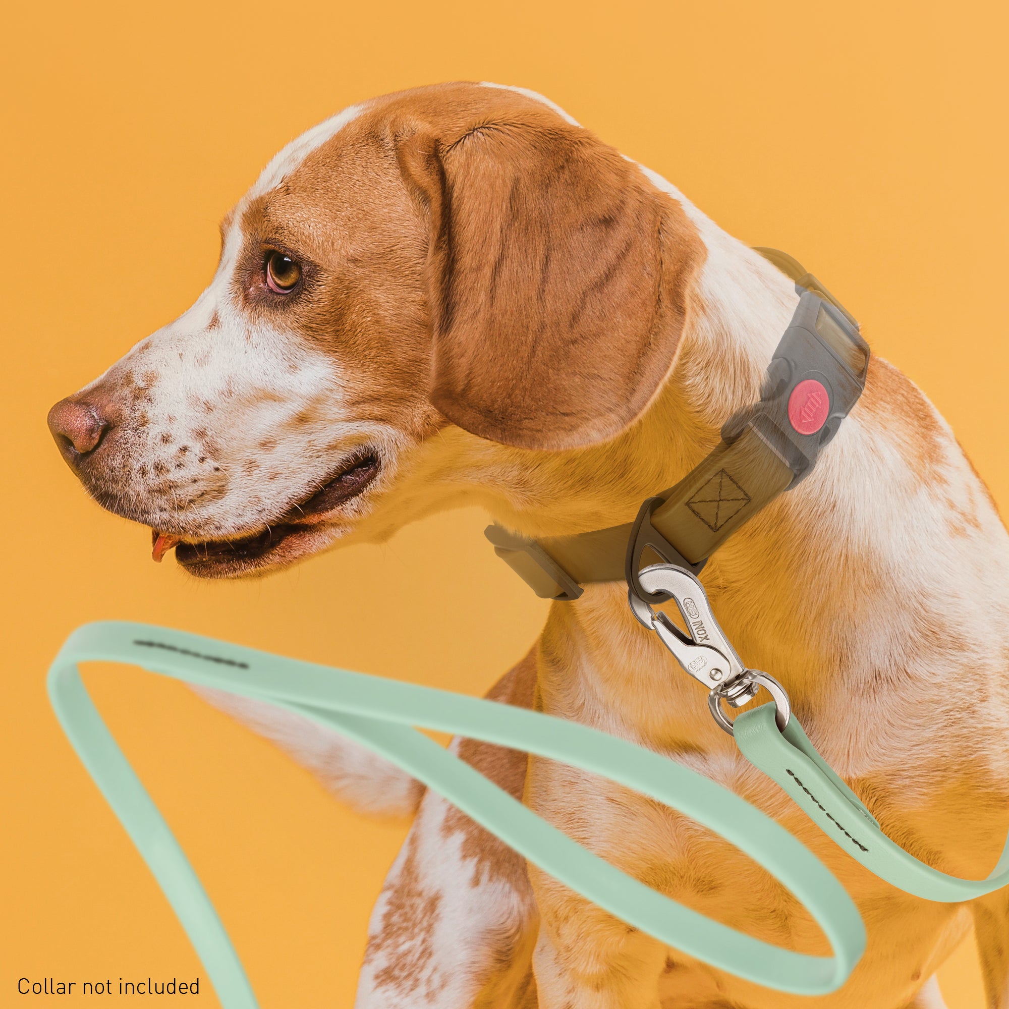 Viper Long Line 10 ft Biothane Dog Lead with SPRENGER Stainless Steel Hook