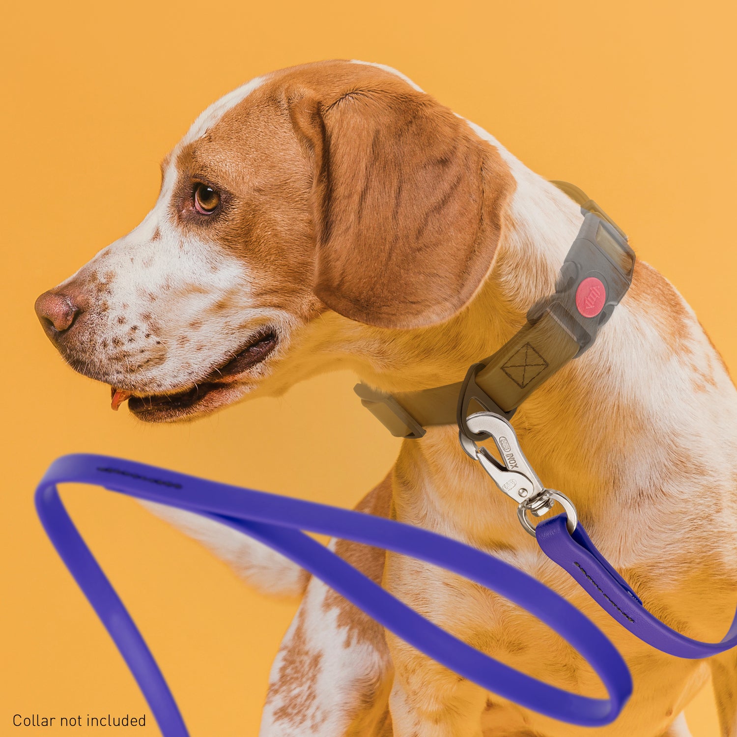 Viper Long Line 15 ft Biothane Dog Lead with SPRENGER Stainless Steel Hook