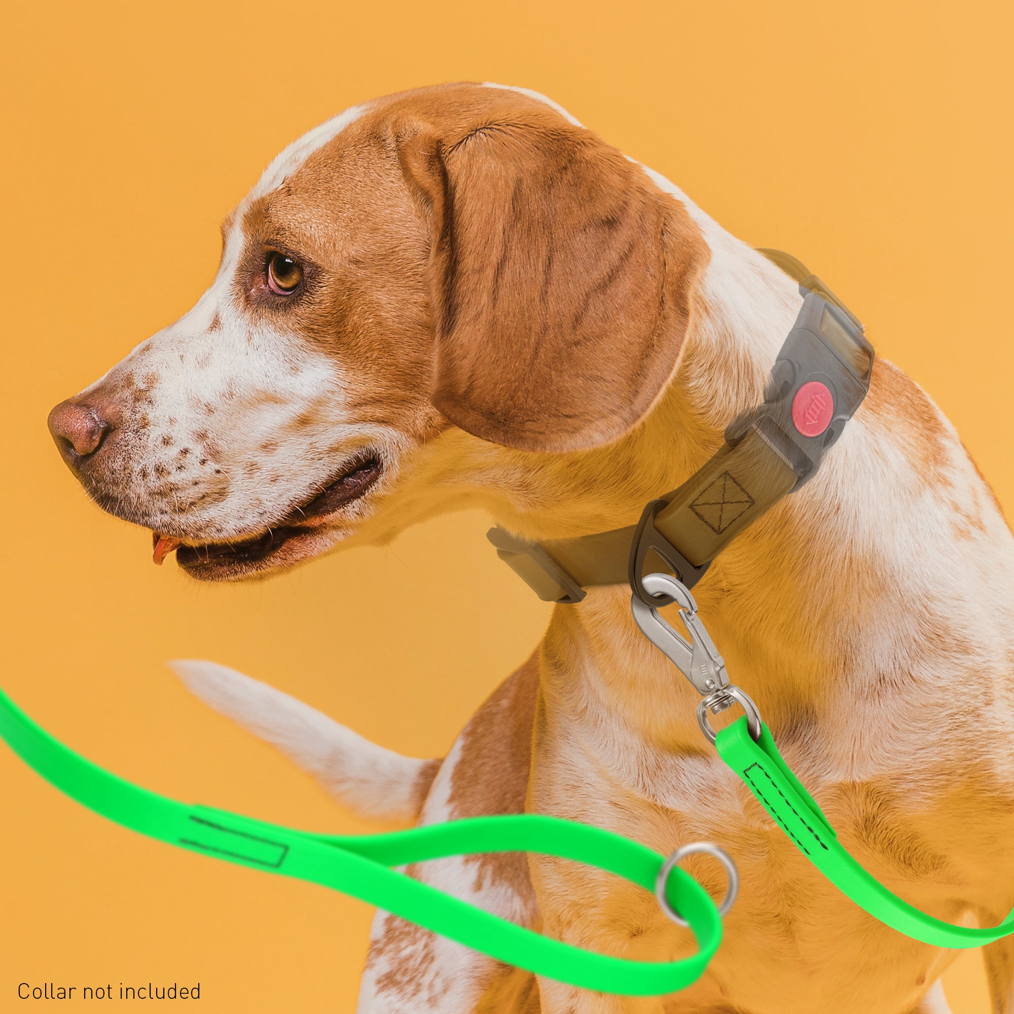 Viper Long Line 20 ft Biothane Dog Lead with SPRENGER Stainless Steel Hook