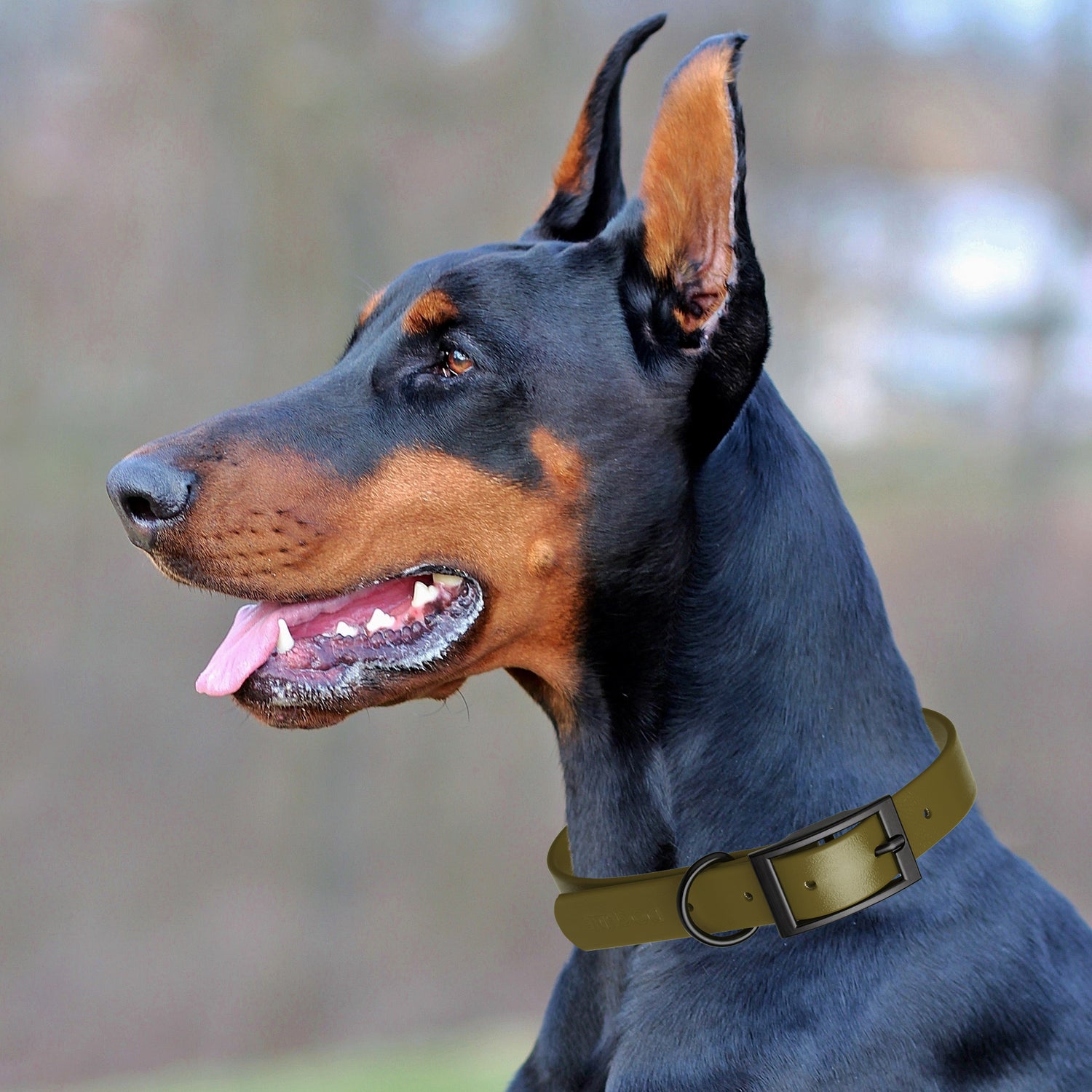 Dogline Biothane Waterproof Collar - Size M (15 to 18 inches)