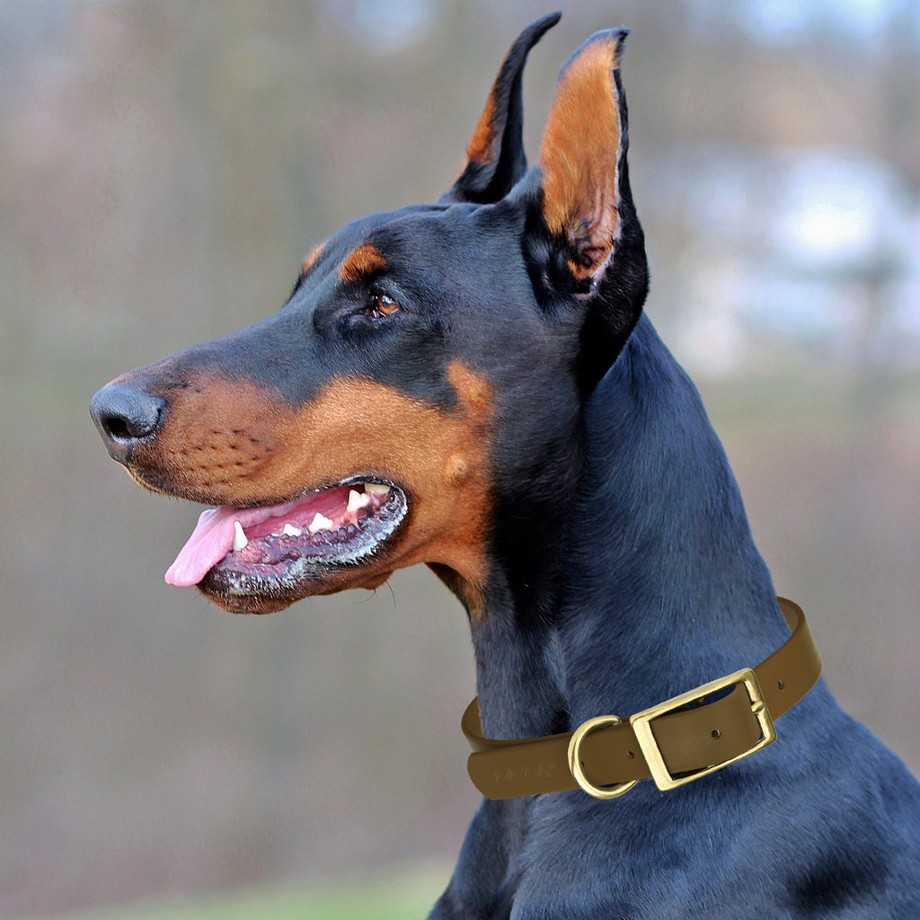 Viper Biothane Waterproof Collar - Brass Hardware - Size XL, Wide (20 to 24 inches)
