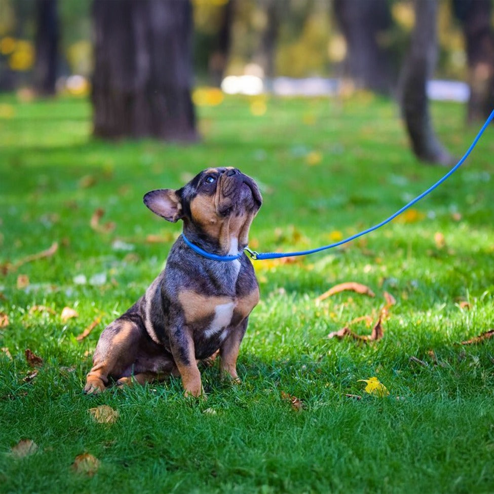 Dogline Soft Leather Round Dog Collar