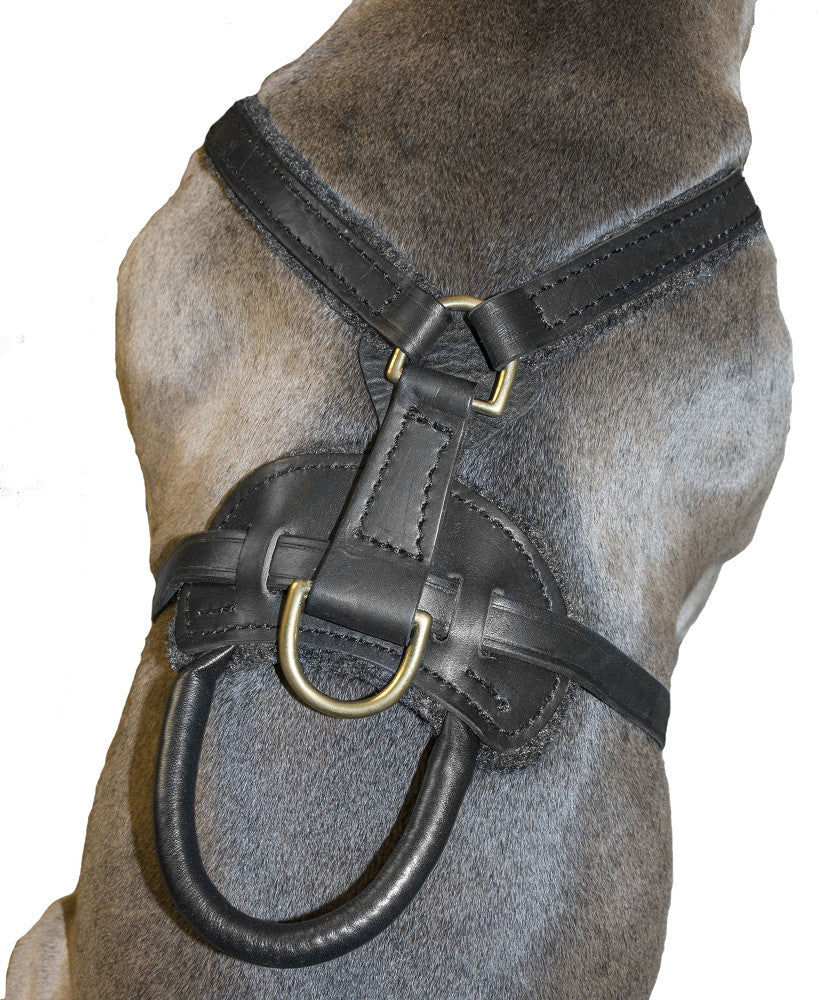 Viper Invader Leather Working Dog Harness