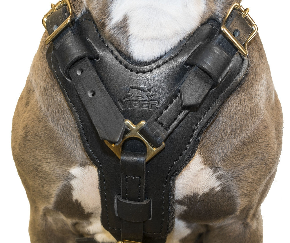 Viper Surge Biothane Working Dog Harness - Brass Hardware