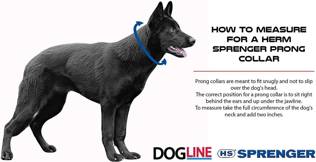Herm Sprenger Black Stainless Steel Prong Dog Training Collar with Swivel