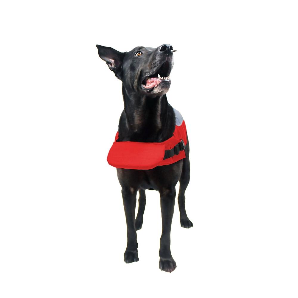 Viper Biothane Working Dog Collar + Built-in Handle - Stainless Steel —  Dogline