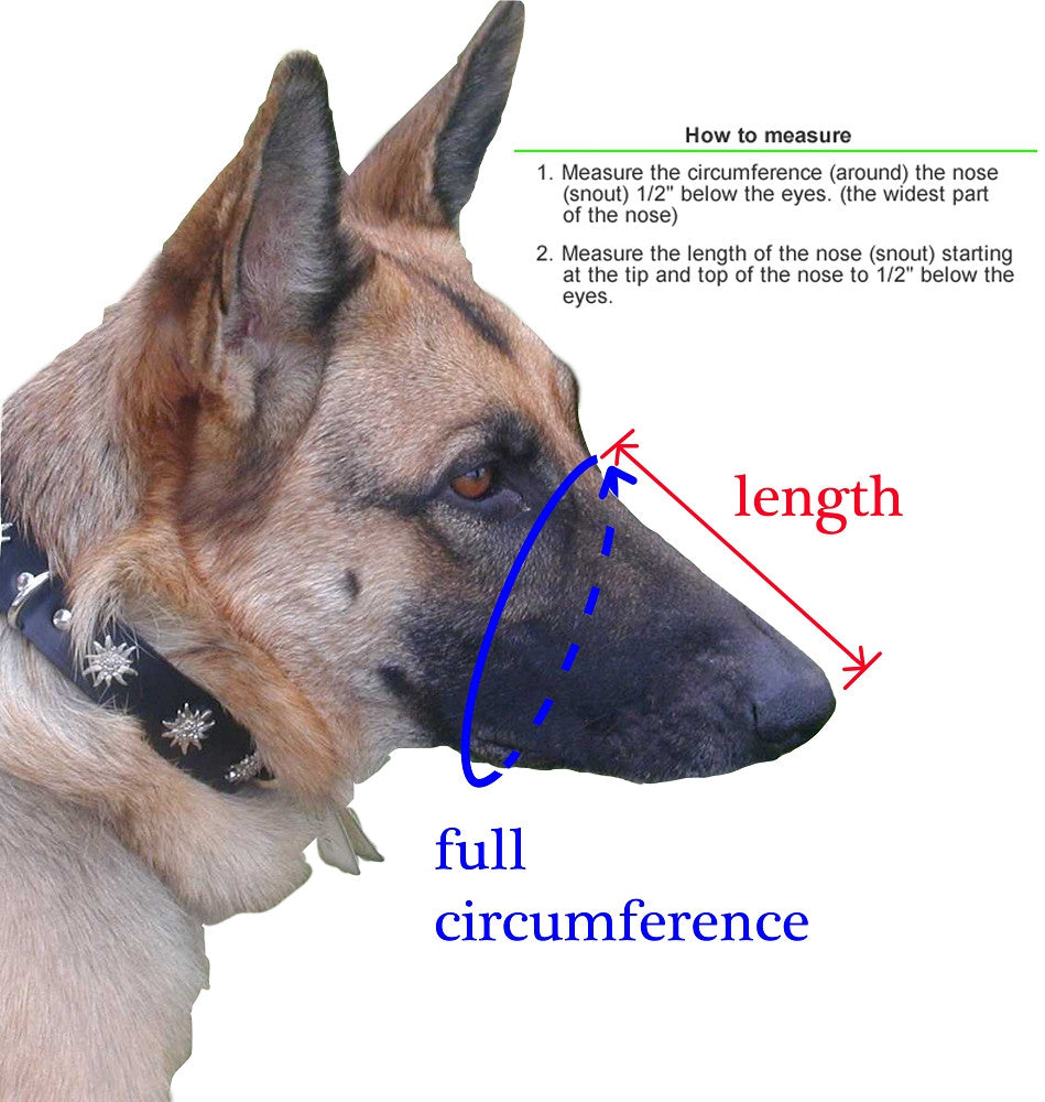 Viper Charlie Reinforced Police Style Dog Muzzle