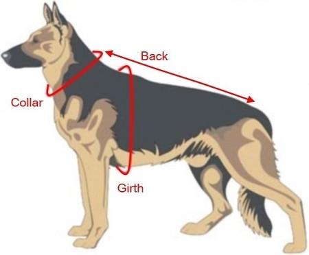 Viper Surge Biothane Working Dog Harness - Brass Hardware