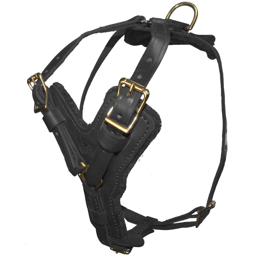 Leather dog harness with a padded chest plate and brass hardware